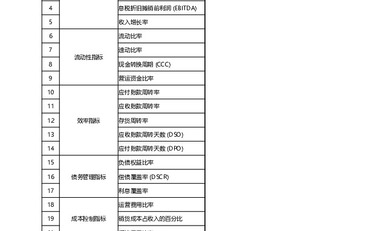 《财务KPI：财务经理的26个绩效指标》